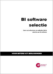 BI software project