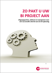 BI software project